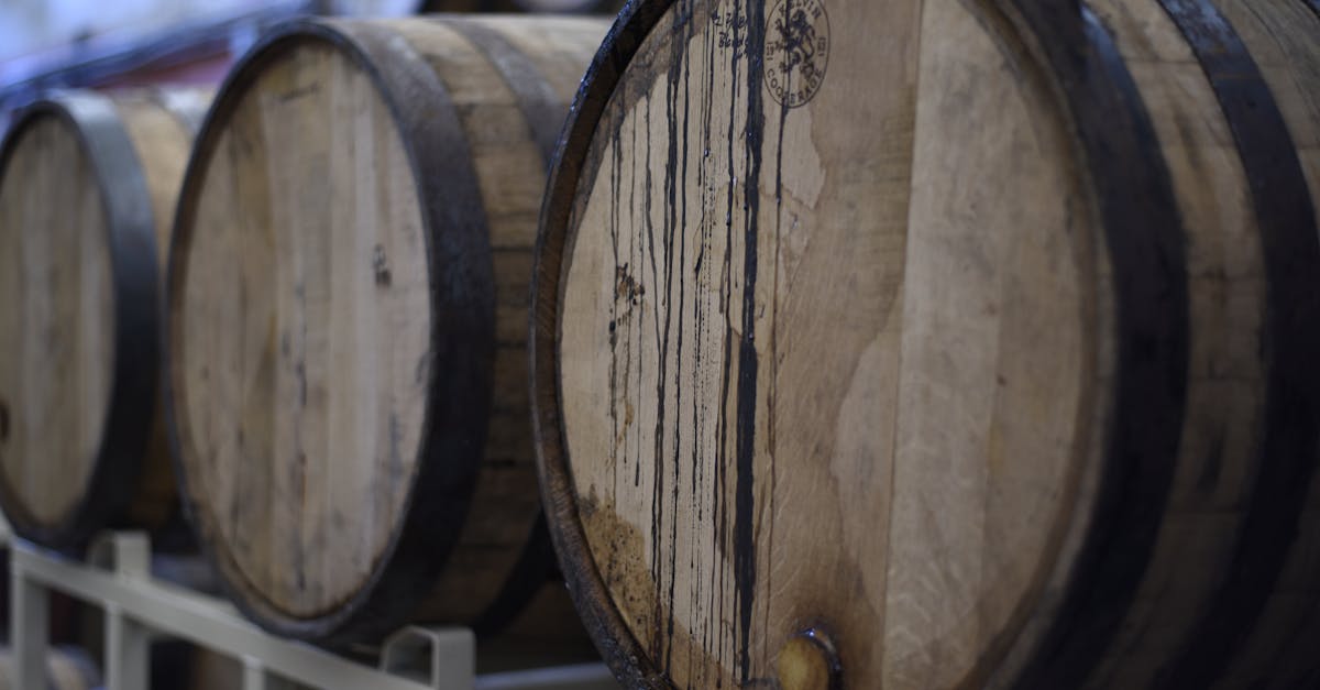 découvrez l'art de la fabrication de bière avec notre guide complet sur le brassage. apprenez les techniques, les ingrédients et les astuces pour créer vos propres bières artisanales savoureuses et uniques à la maison.