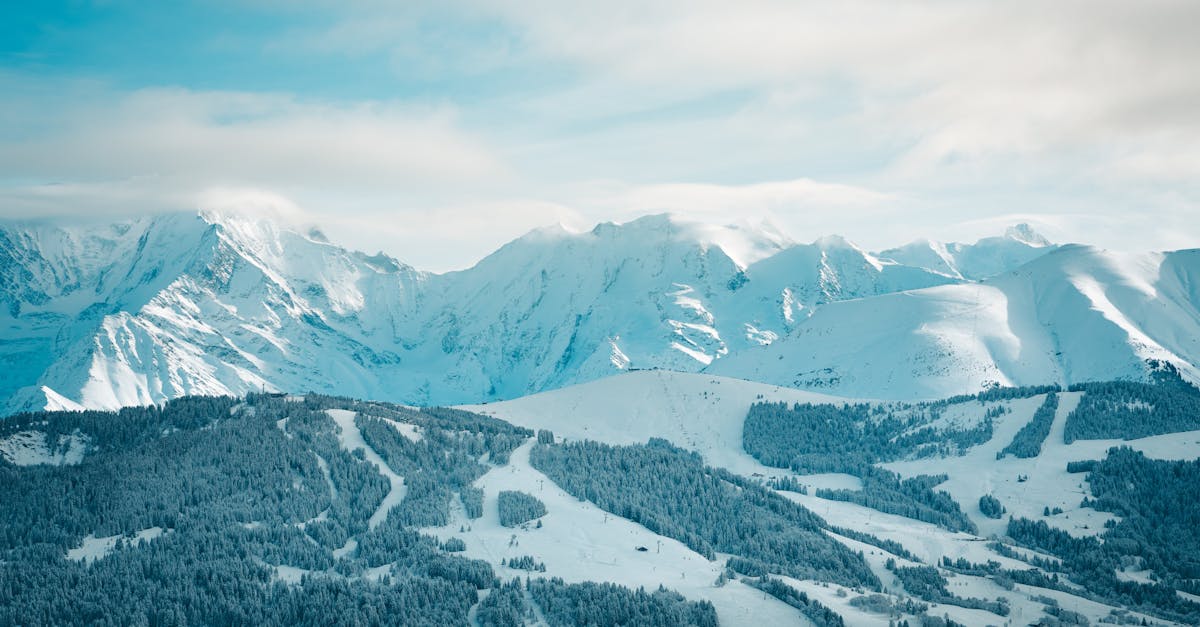 découvrez un monde enchanteur avec 'my paradies', où la sérénité rencontre la beauté. plongez dans un havre de paix, idéal pour quiconque cherche à s'évader du quotidien. explorez des paysages à couper le souffle et vivez des moments inoubliables.