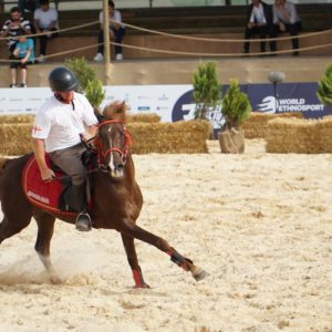 Découvrez String Arena, le blog incontournable sur l’univers des cordes et ficelles