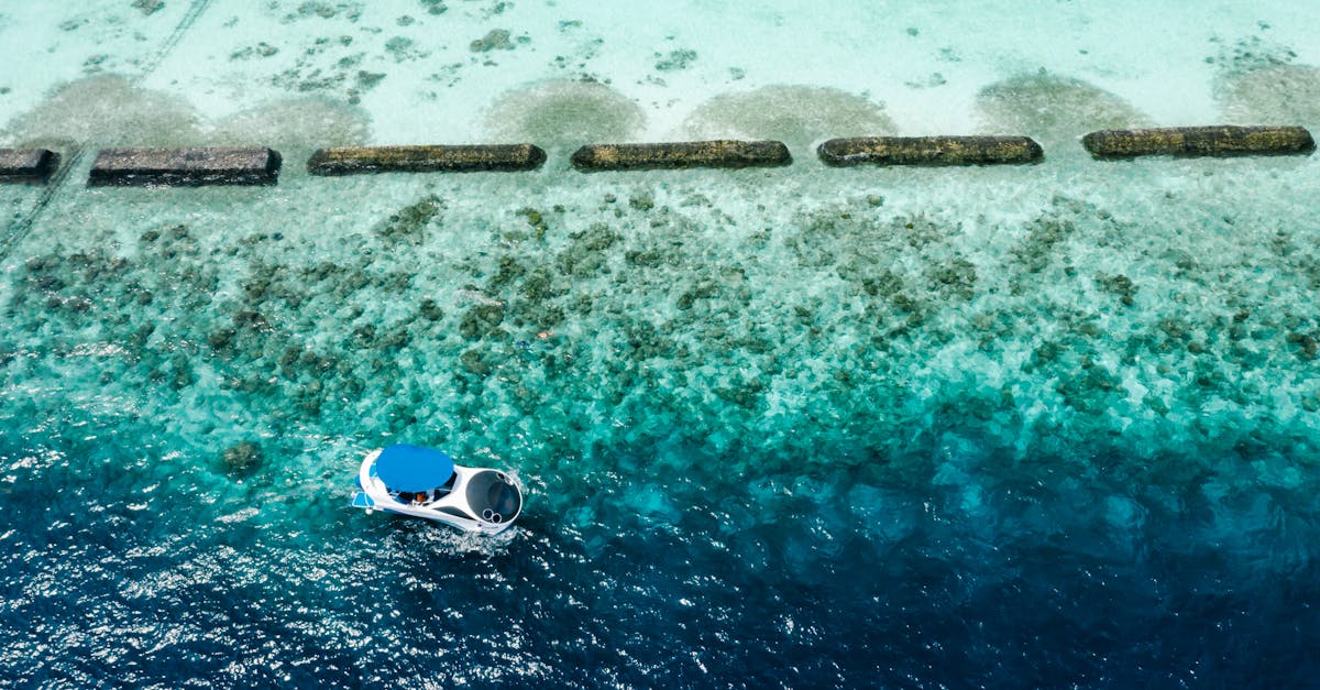 découvrez notre collection de serviettes de plage, alliant confort et style pour vos journées au soleil. fabriquées avec des matériaux absorbants et durables, nos serviettes offrent une expérience agréable à la plage ou à la piscine. optez pour des designs tendance et des couleurs éclatantes pour parfaire votre été!