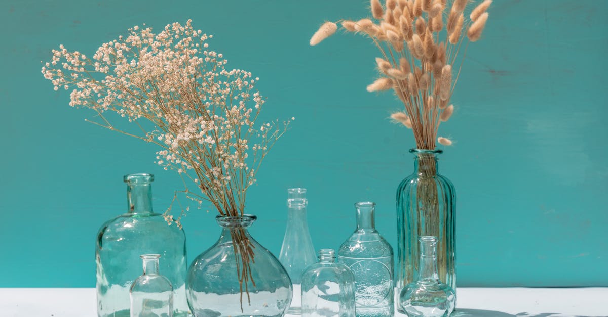 découvrez notre collection de vases décoratifs qui ajouteront une touche d'élégance à votre intérieur. que ce soit pour un style moderne, classique ou bohème, trouvez le vase parfait pour mettre en valeur vos fleurs et embellir votre décoration.