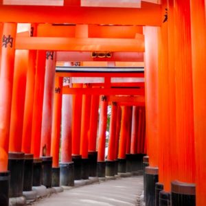 Découvrez l’inspiration des traditions japonaises pour un art de vivre authentique