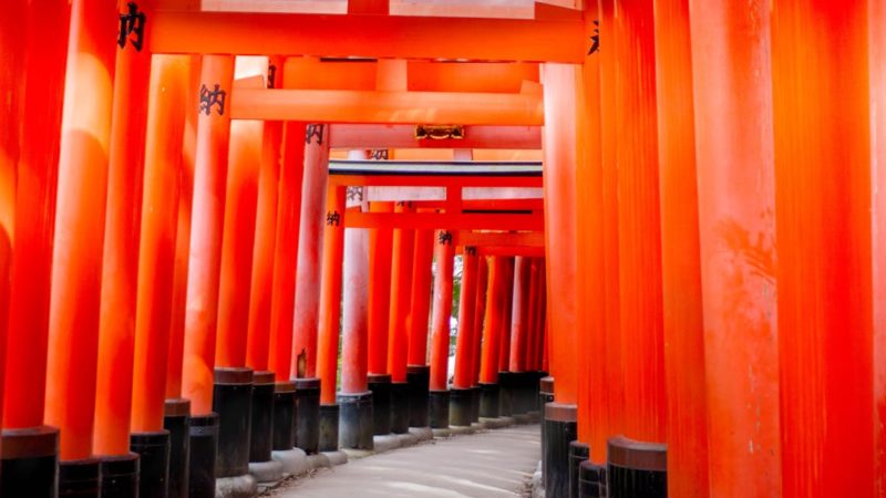 Découvrez l’inspiration des traditions japonaises pour un art de vivre authentique