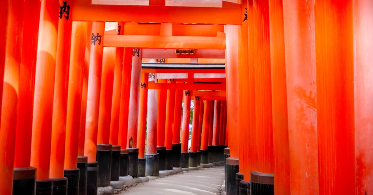 Découvrez l’inspiration des traditions japonaises pour un art de vivre authentique