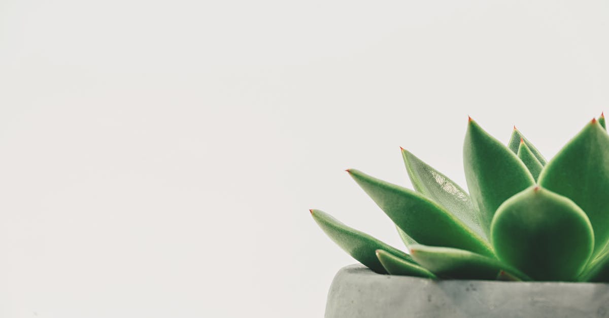 découvrez nos idées et conseils pour sublimer votre décor intérieur avec style. astuces, tendances et inspirations pour transformer chaque pièce de votre maison en un espace unique et chaleureux.