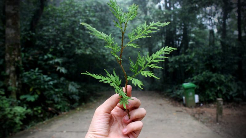 Les meilleures ressources pour comprendre l’écologie et le développement durable avec Energexia